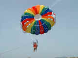 2005.05.19-parasail-021.JPG (49070 Byte)