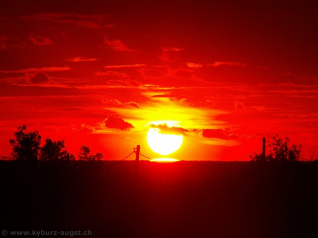 2006.11.04-sonnenau-022.jpg