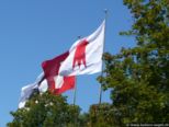 2007.08.01-weil-062.jpg