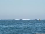 2007.05.13-bootrace-085.jpg