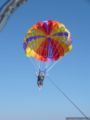 2008.10.16-strand-059.jpg