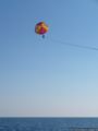2008.10.16-strand-074.jpg