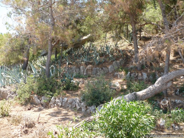 2009.06.21-thermenkalithea-017.jpg